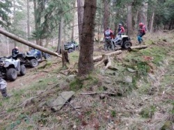 Plaga polskich lasów. Straż tropiła ich przez 30 kilometrów