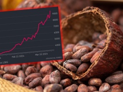Czekoladowy kryzys. Brakuje ziaren kakao, których ceny szybują na rekordowe poziomy