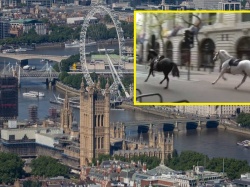 Konie biegały po londyńskich ulicach. Musiało interweniować wojsko