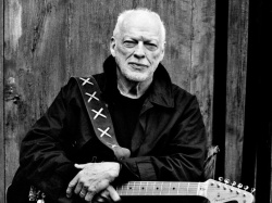 David Gilmour z niespodzianką dla fanów! Gitarzysta i wokalista Pink Floyd zapowiedział nową płytę