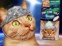 Faktopedia – Aluminiowe czapeczki dla kotów