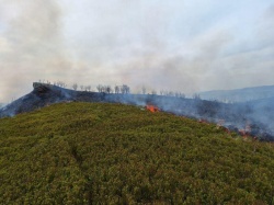 Pożar w Bieszczadach. Strażacy muszą na miejsce dotrzeć pieszo po szlakach