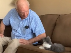 Oddał pupila pod opieką dziadka, który nie cierpiał kotów. Nie przewidział, jak to się skończy