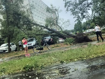 Wielka nawałnica nad Mielcem. Drzewa na ulicach, mieszkańcy bez prądu