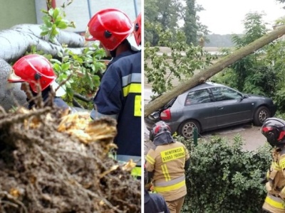 Powalone konary, zerwane dachy i zalane piwnice. Blisko 500 interwencji strażaków