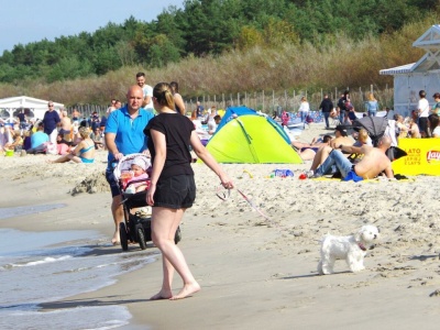 Pozwalają psom załatwiać się w wodzie. Turyści nad Bałtykiem aż proszą się o mandat