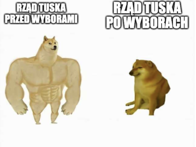 Miałem ochotę włożyć widelec w ucho, gdy usłyszałem o kolejnym przypale rządu. Nie tak miało być