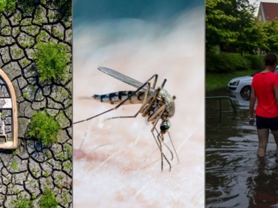 W takim świecie będą żyć twoje dzieci. Nie będzie litości ze strony klimatu