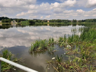 Ponury widok na plaży w województwie lubelskim. W workach spakowano setki martwych ryb