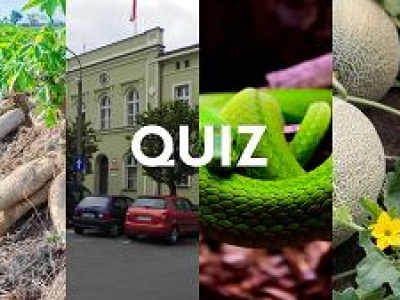 Zaskakująco trudny quiz na M, z którym nie masz szans! Szybko pobij 7/12