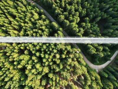 Polska planuje pokonać Czechy. Na Dolnym Śląsku ma powstać najdłuższy most wiszący dla pieszych na świecie!