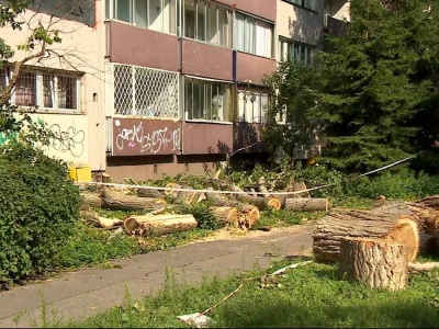 Warszawa. Prosili o wycinkę. W końcu drzewo runęło na blok