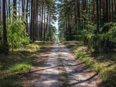 Najpiękniejsze uzdrowisko na Kujawach. Odpoczynek w środku lasu