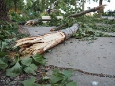 Nawałnice nad Polską. Dwie osoby nie żyją, tysiące gospodarstw bez prądu