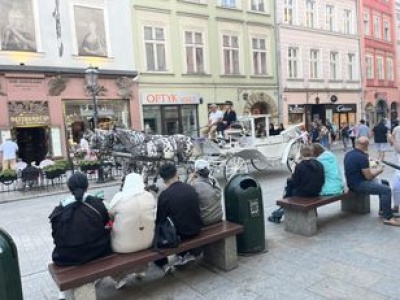 Oblegają Kraków. Widać ich na każdym kroku