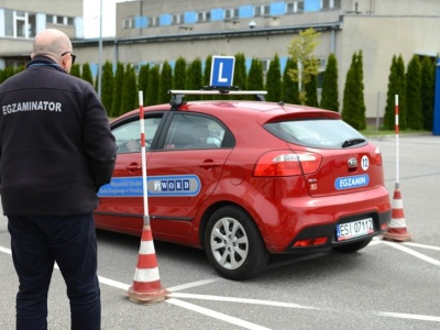 Gdzie najłatwiej zdać egzamin na prawo jazdy? Jedno miasto się wyróżnia