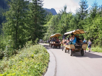 Kolejki w drodze na Morskie Oko. Turyści walczą o miejsce w bryczce