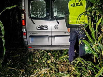 Makabryczne odkrycie w polu kukurydzy. Zobaczyli krew, a potem zwłoki. Straszne ustalenia