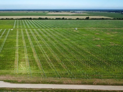 Energa buduje swoją największą farmę fotowoltaiczną. Instalacja powstaje na Dolnym Śląsku