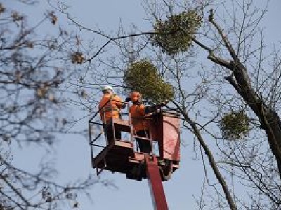 Niebezpieczny wypadek pracowników na podnośniku. 