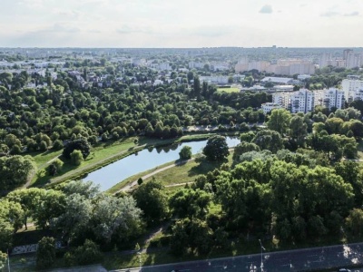 Co, gdyby w miastach było dwa razy więcej drzew? Szokująca statystyka