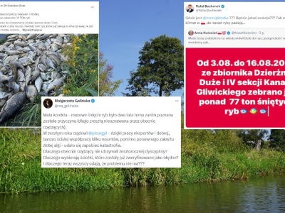 Już 100 ton martwych ryb na Śląsku. PiS ostro do rządzących