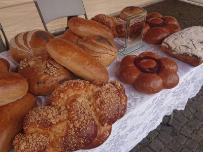 Staszów podziękuje za tegoroczne plony