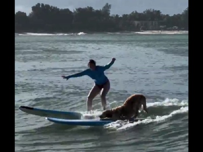 Najlepszy surfer w okolicy. Pokazał, kto jest prawdziwym królem na desce [WIDEO]