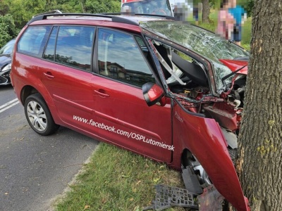 Bezpieczny jak Citroën C4 Picasso. Gdy auto uderzyło w drzewo, kierowca wyszedł o własnych siłach