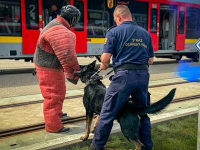 W Łódzkiej Kolei Aglomeracyjnej sokiści i policjanci szkolili swoje czworonogi