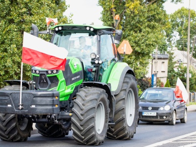 Wraca problem ze zbożem. Rolnicy alarmują