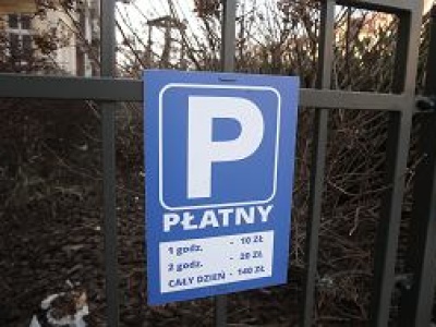 Przejechała po płatnym parkingu i dostała mandat. Słusznie? 