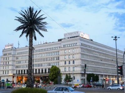 Najsłynniejsza polska palma wejdzie do kolekcji muzeum