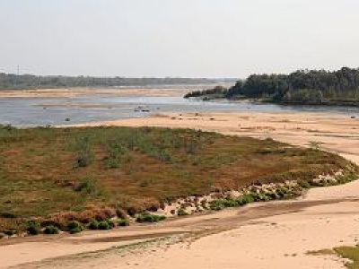 Nigdy nie było takiego lata. Na świecie i w Europie padł rekord temperatury