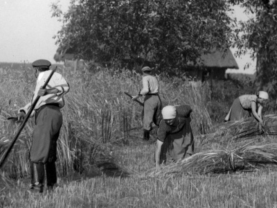 Realia czasów okupacji na polskiej wsi. Pierwsze dwa lata wojny przyniosły zaskakujące skutki dla chłopów