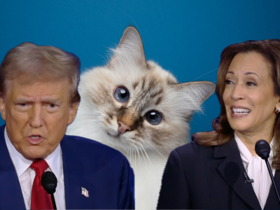 Debata Harris-Trump, czyli wielkie darcie kotów