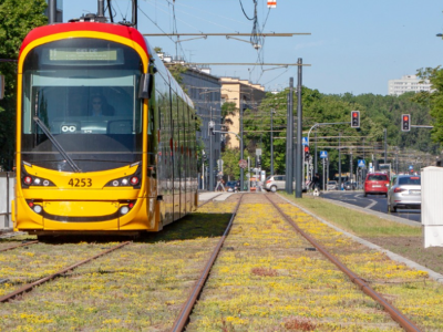 Wielka wpadka Tramwajów Warszawskich. W pojazdach roi się od błędów