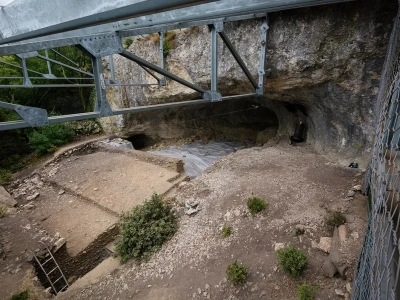 Naukowcy zbadali szczątki neandertalczyka. To podważa teorię, dlaczego mogli wyginąć