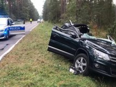 Drzewo upadło na volkswagena. Kierowca zakleszczony w aucie