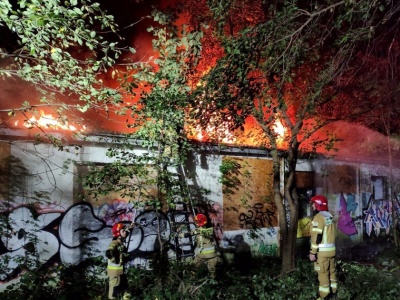 Czwarty pożar w Parku Grzegórzeckim w ostatnich tygodniach