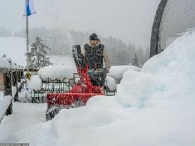 Austria walczy ze śniegiem. Władze ogłosiły stan klęski żywiołowej w jednym regionie