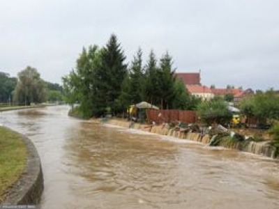 Koń w zburzonym nurcie. Płynął z Czech