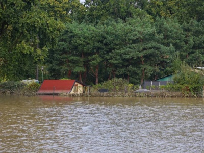 Lasy Państwowe apelują. 