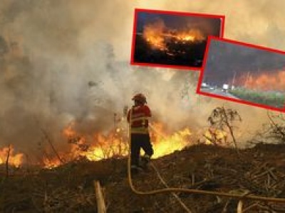 Pożary lasów w Portugalii. Nie żyje 7 osób, w piątek żałoba narodowa