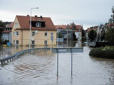 Drożyzna po powodzi? Główne sieci handlowe reagują na zarzuty Tuska