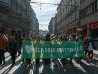 “Najlepsze stare drzewa zostały wycięte i weszła deweloperka”. Przez centrum Katowic przeszedł I Marsz Śląskiej Przyrody.