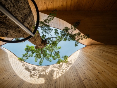 Oto jedna z najpiękniejszych kawiarni na świecie. W jej centrum stoi gigantyczny baobab