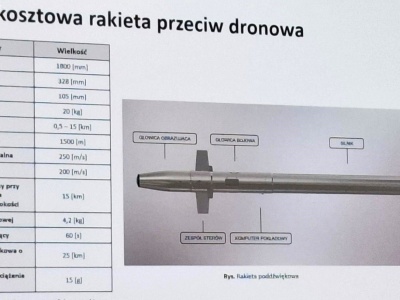 Powstanie polski zabójca Szahidów?