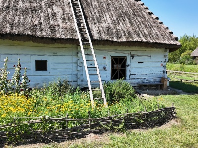 Dlaczego polscy chłopi zawsze budowali swoje domy z drewna? Chodziło nie tylko o to, co myślicie