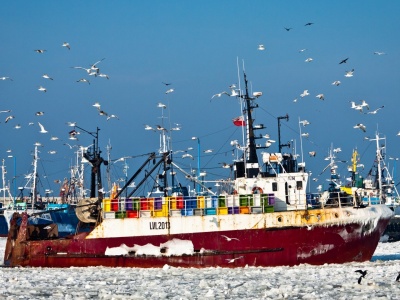 Inwestycje w offshore na Bałtyku mogą zmienić przyszłość rybołówstwa